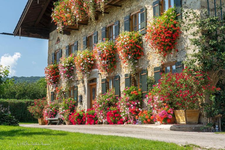 Bachtelhuber-Hof - B&B Teisendorf