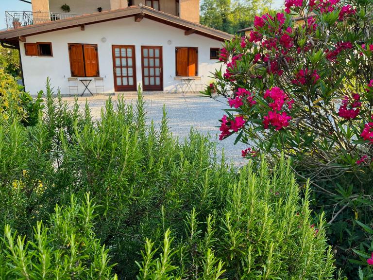 Studio Apartma Olive, Nova Gorica, Slovenia - B&B Nova Gorica