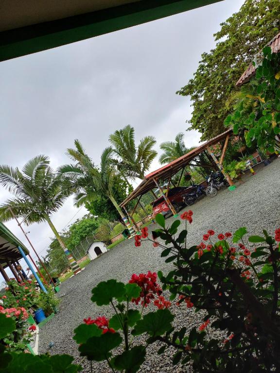 Finca Hotel el Vergel Filandia Quindio - Bed and Breakfast Filandia