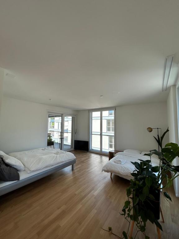 The R Apartment Passwang, Balkon, Kostenloses Indoor-Parking - Chambres d'hôtes Balsthal