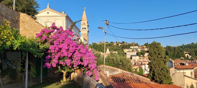 Holiday Home Amazing View - Chambres d'hôtes Piran