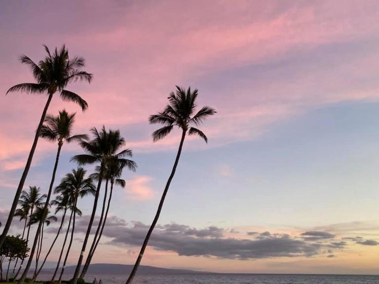 Super Summer Sale! Live da HI life! - Ferienwohnung Wailea