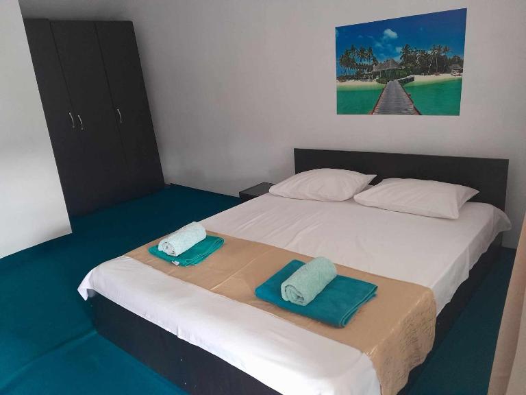 Casa Octavia - B&B Schitu