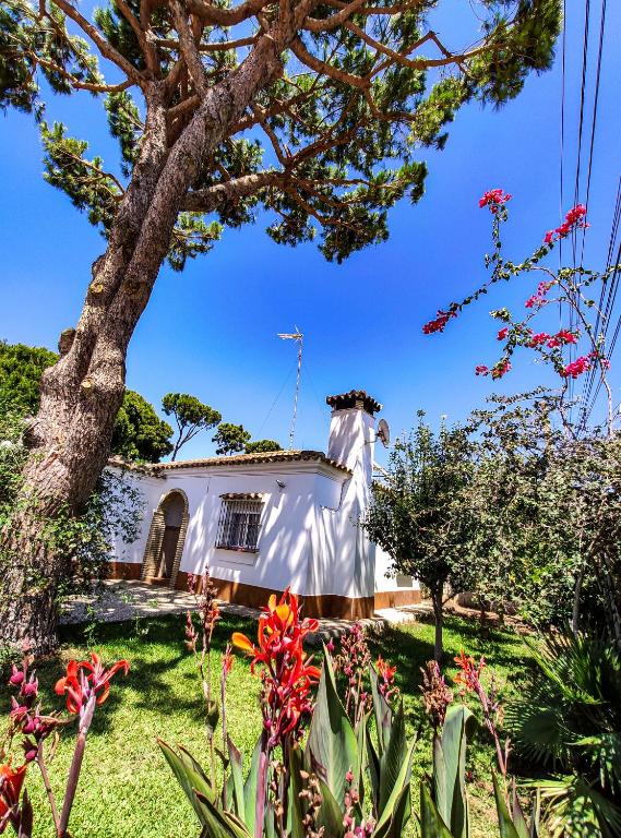 Casa del Tucán - Ferienwohnung Chiclana de la Frontera