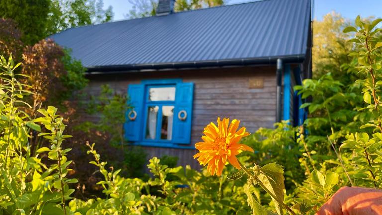 Wakacyjny Dom Letni - B&B Ostrówek