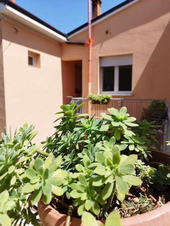 Da Silvana - B&B Rovereto