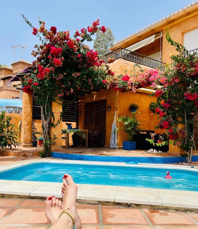 Apartamento con jacuzzi y terraza con opcion a Piscina Privada - B&B Almuñécar