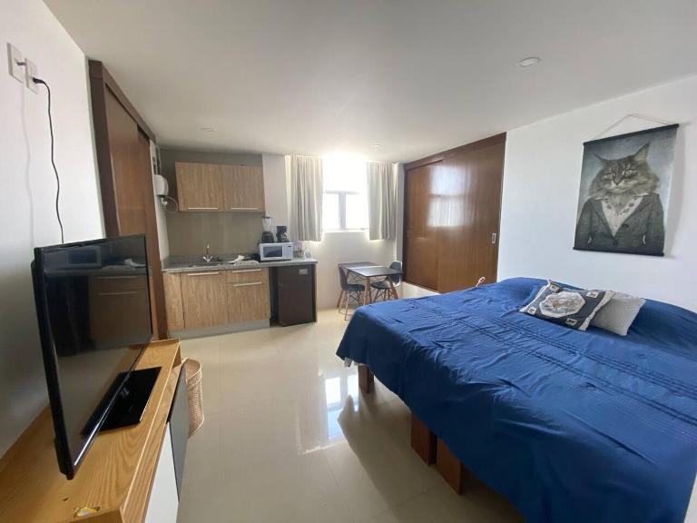 cool & comfy suite with GYM. Polanco - B&B Città del Messico