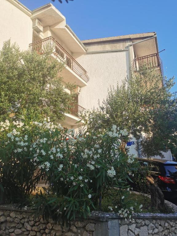 Branko - Ferienwohnung Baška Voda