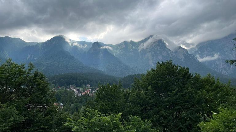 Ferien Chalet - Ferienwohnung Buşteni
