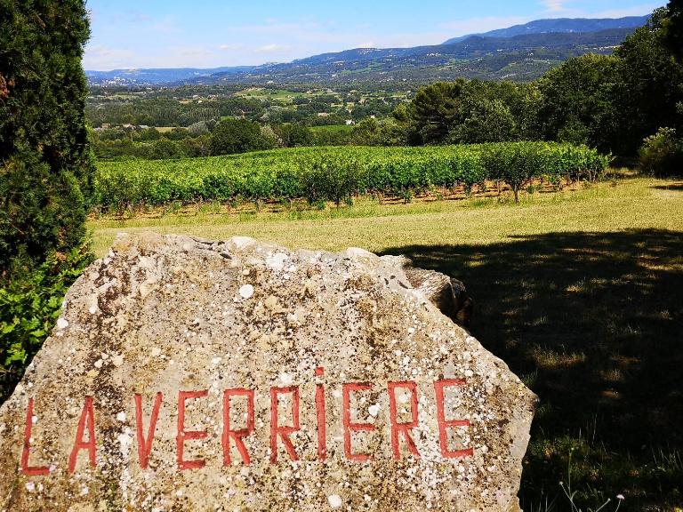 Les Vendangeurs, gîte au milieu des vignes face au Luberon - B&B Goult