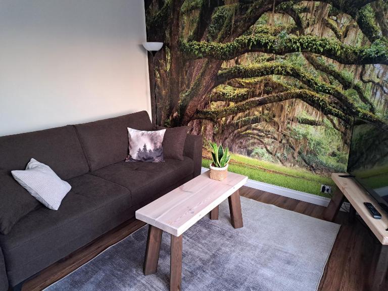 Apartament Natura - B&B Lidzbark Warmiński