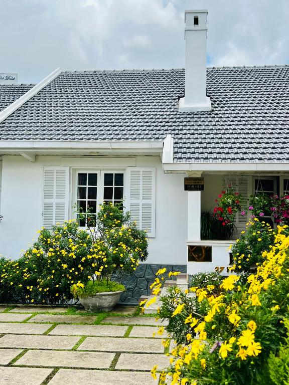 ROY VILLA COFFEE - B&B Da Lat