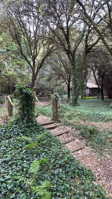 Cabaña de ensueño en el bosque y junto al mar - B&B Miengo