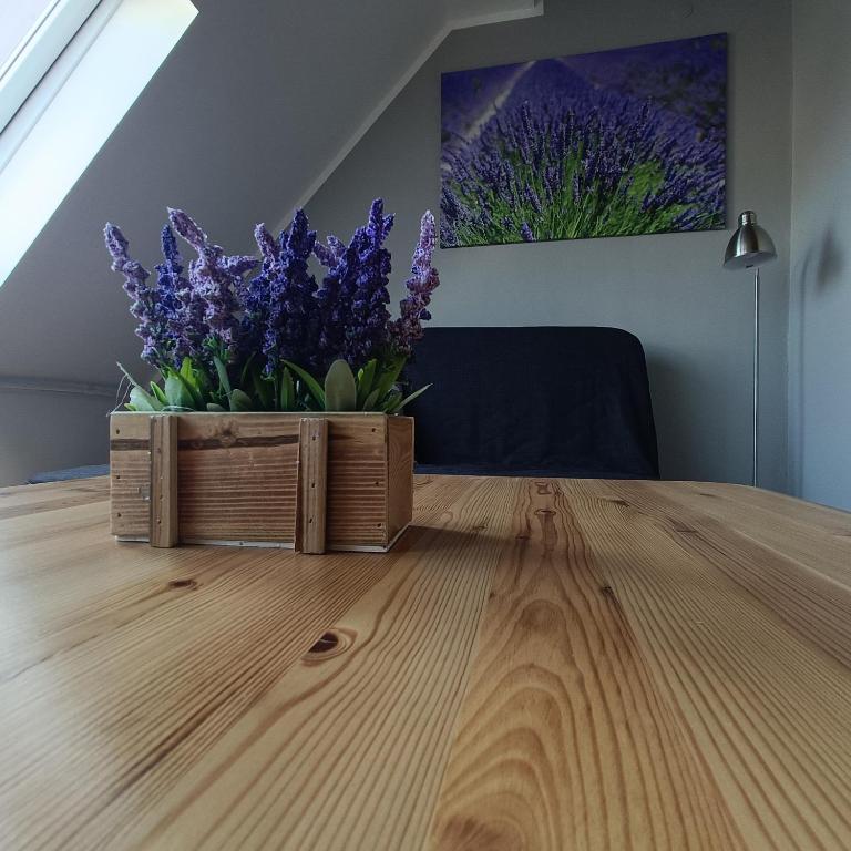 Apartament Morska Lawenda - B&B Świnoujście