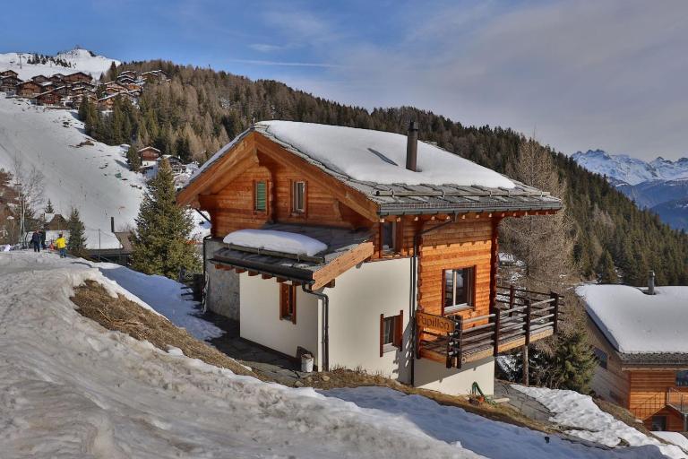 Schmetterling - B&B Bettmeralp