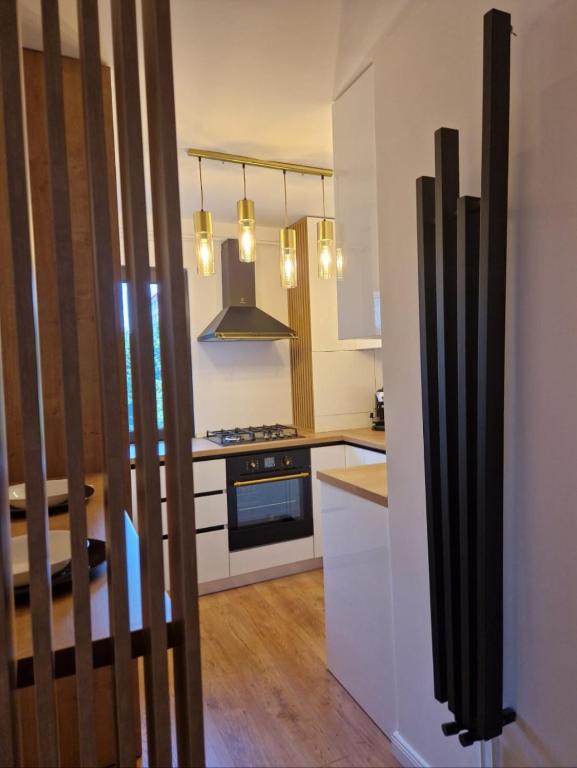 SAVAS KING BRASOV - B&B Braşov