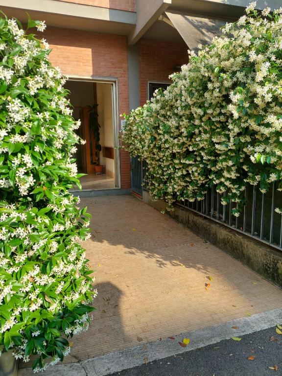 Flowerence - B&B Florence