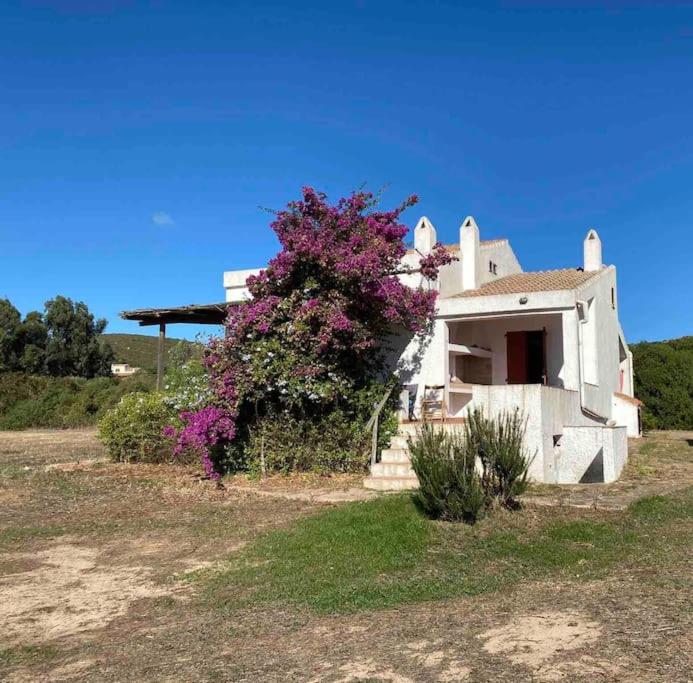 Casa Bianchi - Villa immersa nel verde - Ferienwohnung Carloforte