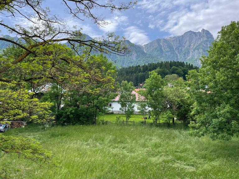 Villa Forrest Bușteni - B&B Buşteni