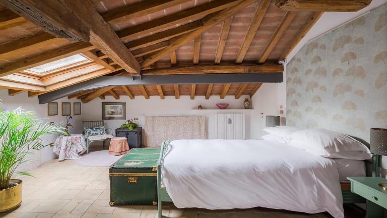 Piazza Maggiore Jungle Bijoux - B&B Bologna