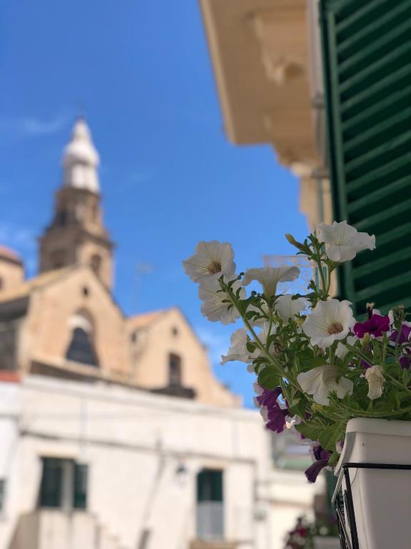 DIMORA ELIVA - B&B Monopoli