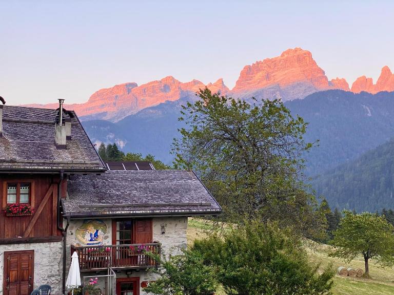 Monolocale in chalet alpino 022143-AT-010681 - B&B Madonna di Campiglio