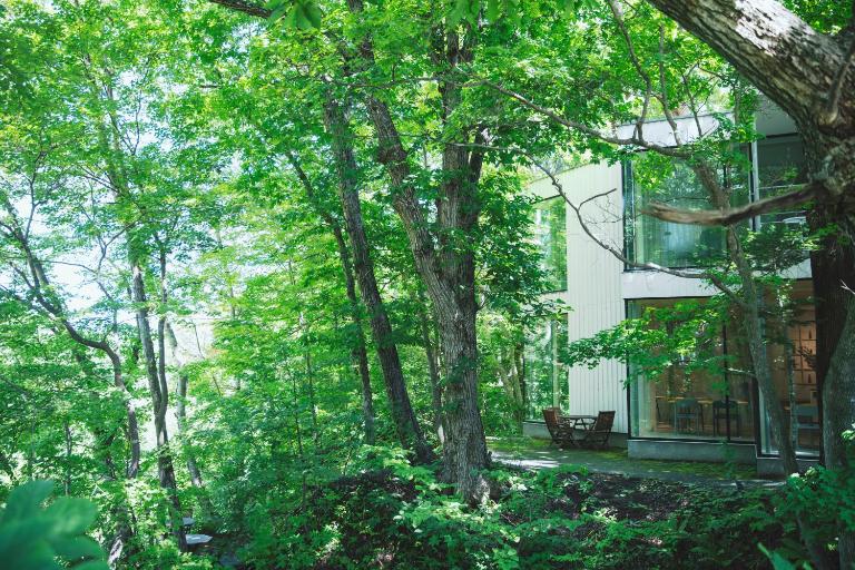 COQ - B&B Sapporo
