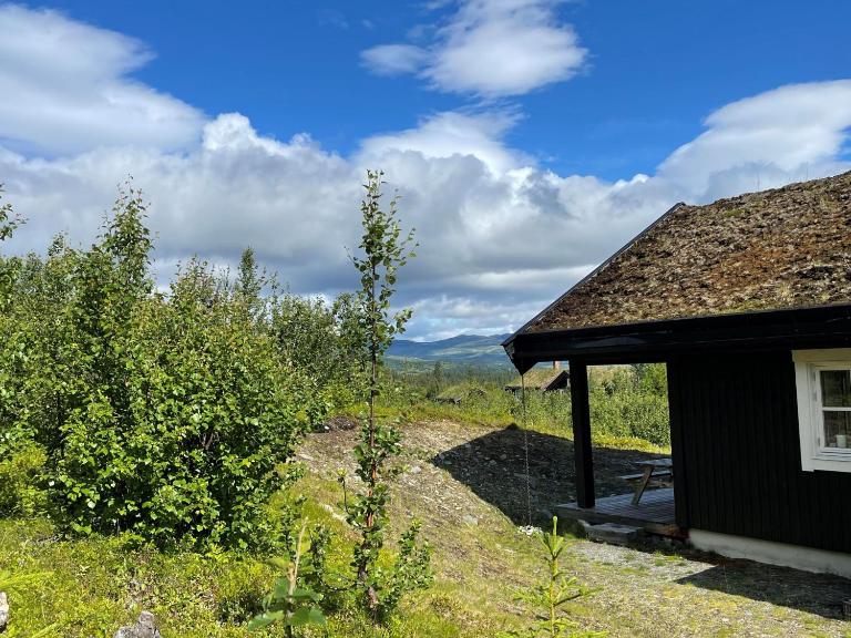 Linnaeus - 6 person cabin - Ferienwohnung Ål