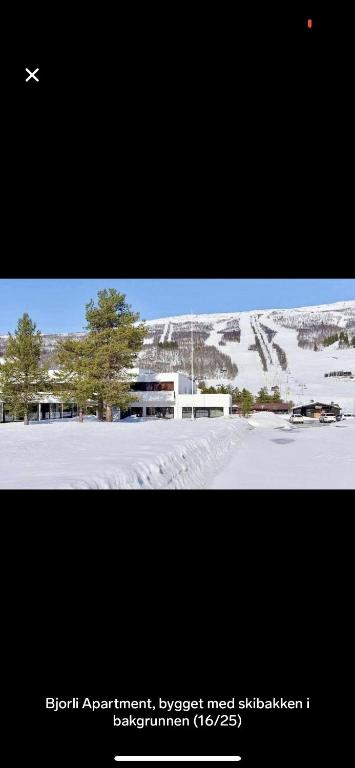 Bjorli Apartment with everything, 150m from ski lift - B&B Bjorli