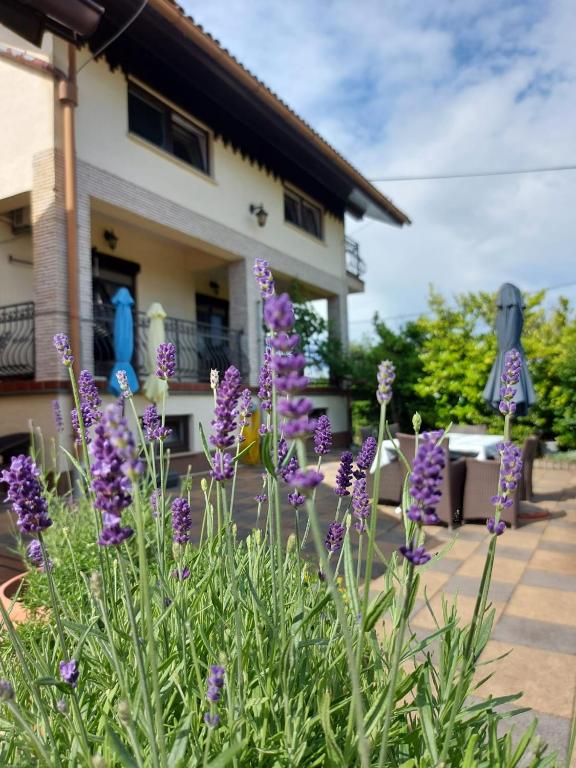 Apartman Nada - Bed and Breakfast Ozalj