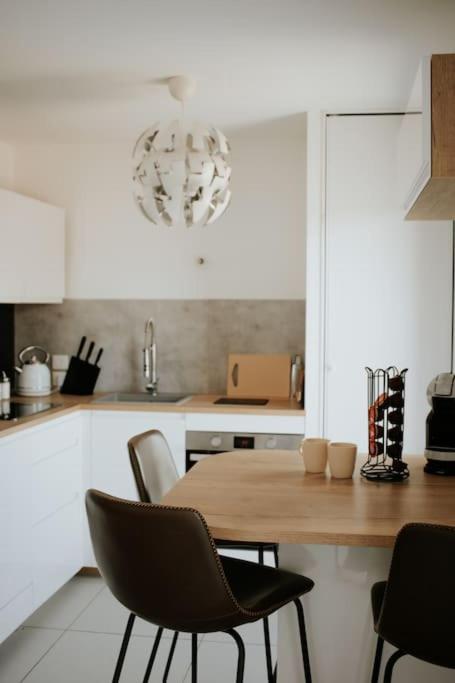 Spacieux Appart T3+terrasse - B&B Aix-les-Bains