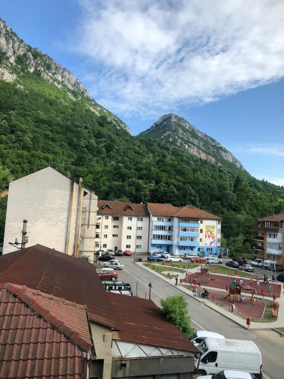 Miu Home - B&B Băile Herculane