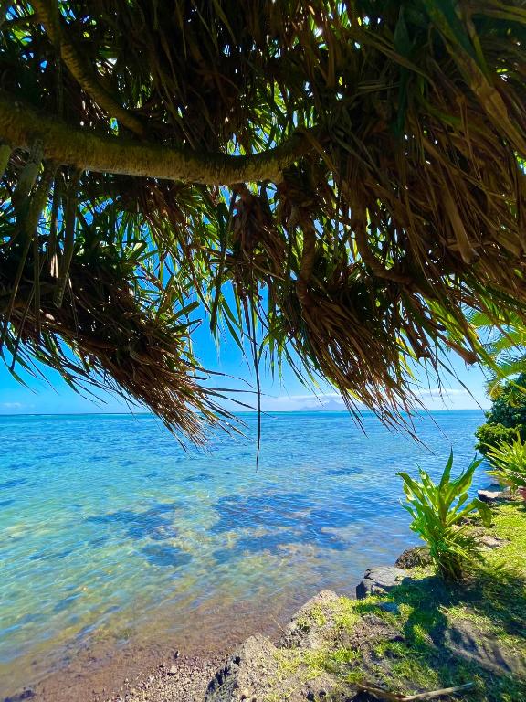 O'coco Bungalow- Breathtaking waterfront views, endless memories - B&B Paea