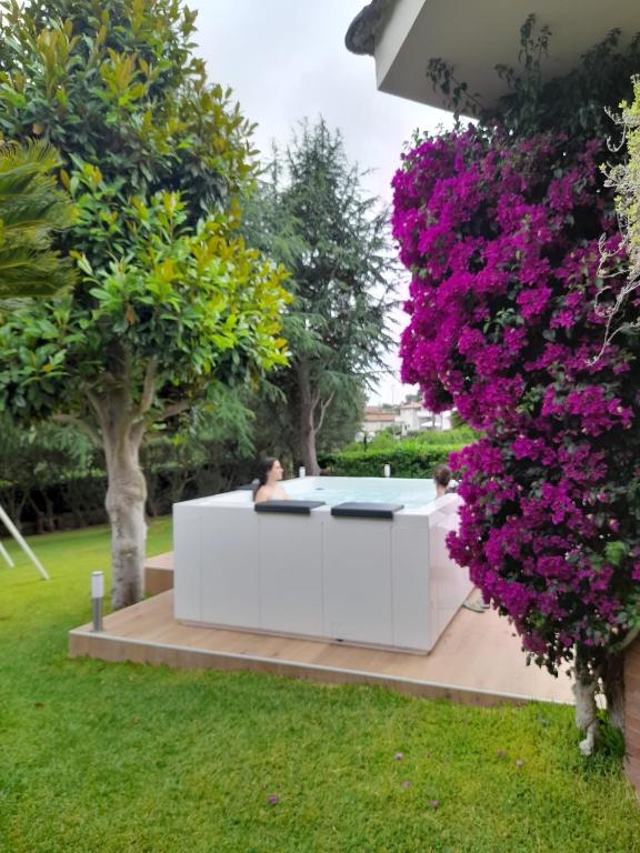 Il Sogno delle Rondini - B&B Palidoro
