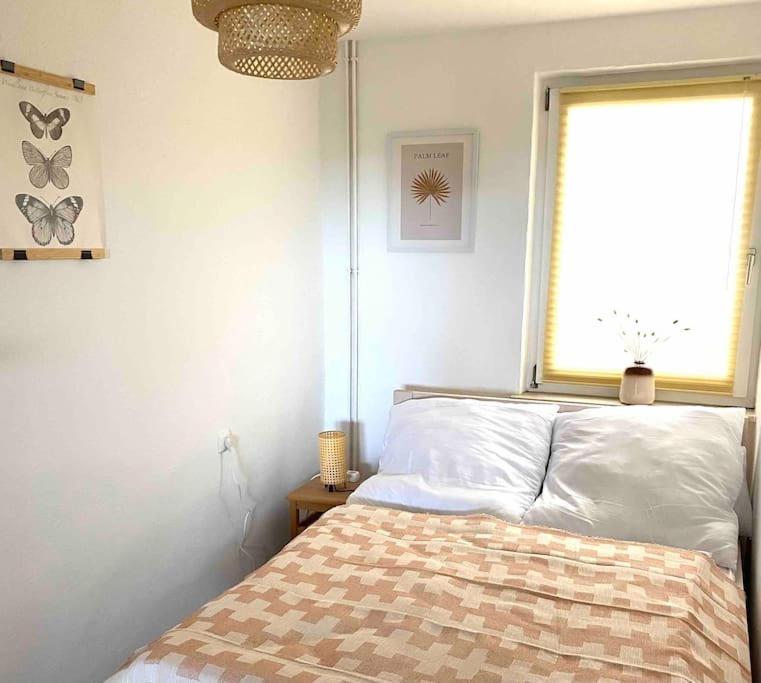 Ferienwohnung Nr. 2 Rügen Natur Idylle Landleben - B&B Zudar