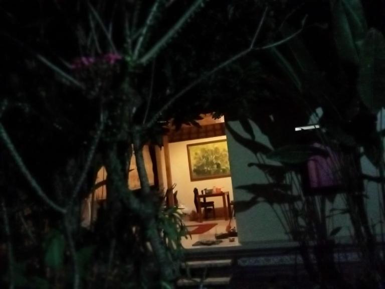 Pondok Teges - Bed and Breakfast Ubud