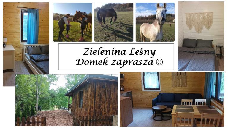 Zielenina Leśny Domek - Bed and Breakfast Mierzeszyn