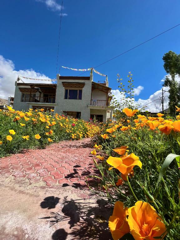 Chakzot garden house - B&B Leh