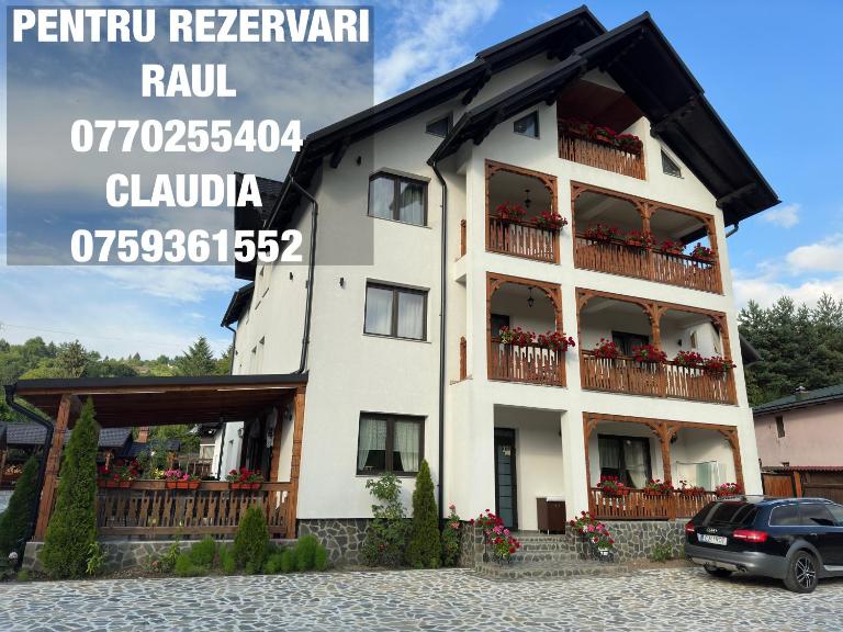 Casa Maramureșană - Ferienwohnung Vişeu de Sus