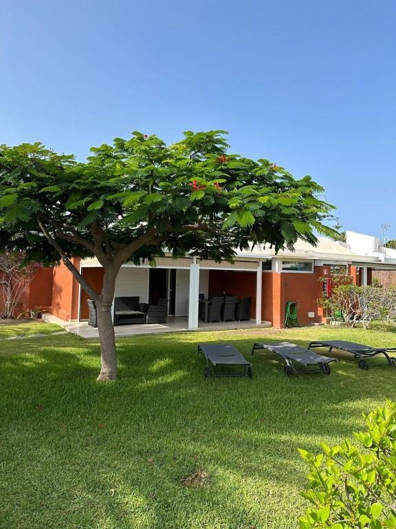 Bungalow Los Melocotones in Maspalomas - Playa del Ingles - Bed and Breakfast San Fernando