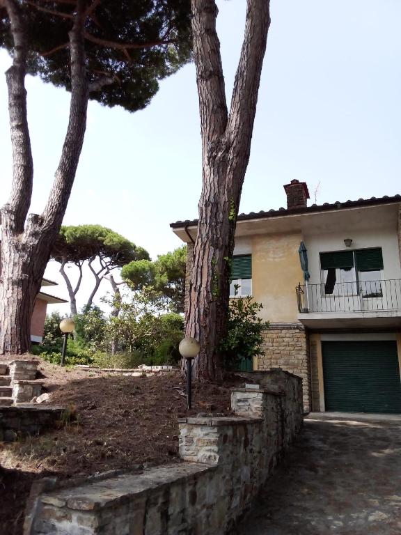 Casa Felci - Spacious Apartment Near The Beach in Tirrenia - B&B Tirrenia