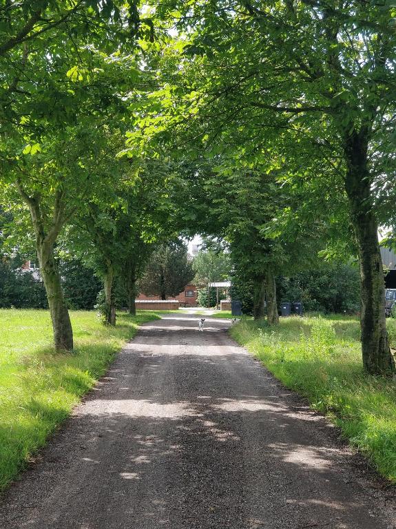 Kristinebjerg - Ferienwohnung Jelling