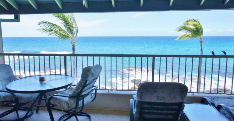 Kona Reef D37 - B&B Kailua-Kona