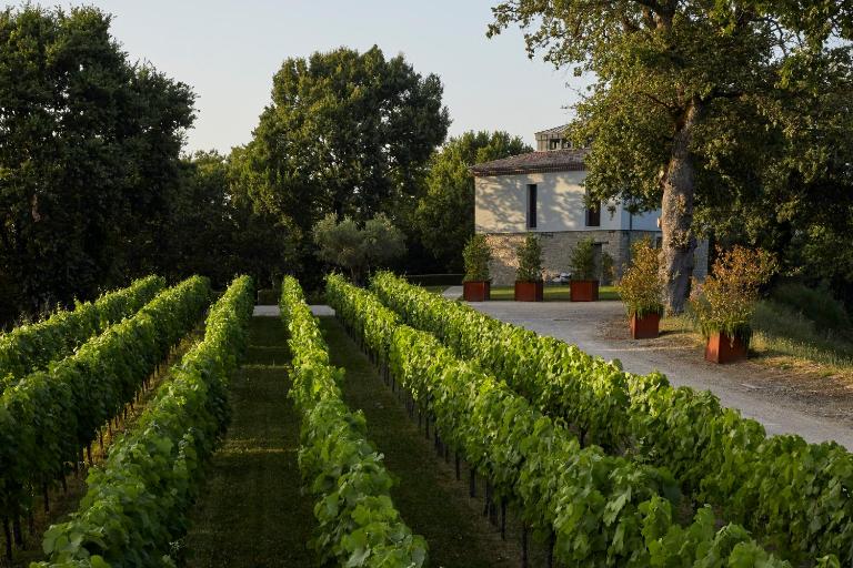 Borgo San Gregorio - B&B Sorbo Serpico