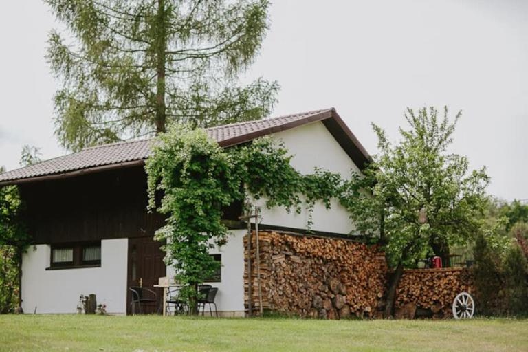 Chata w lesie - B&B Zagwiździe