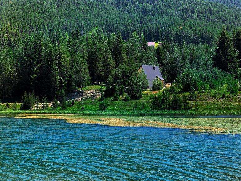 Zminica Lake House - B&B Zabljak