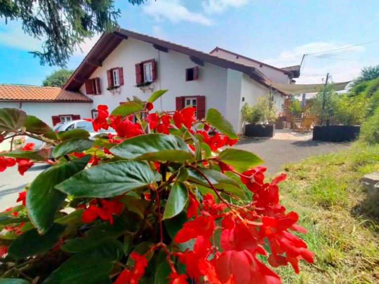 Au coeur du Pays Basque entre Mer et Montagne - B&B Hélette
