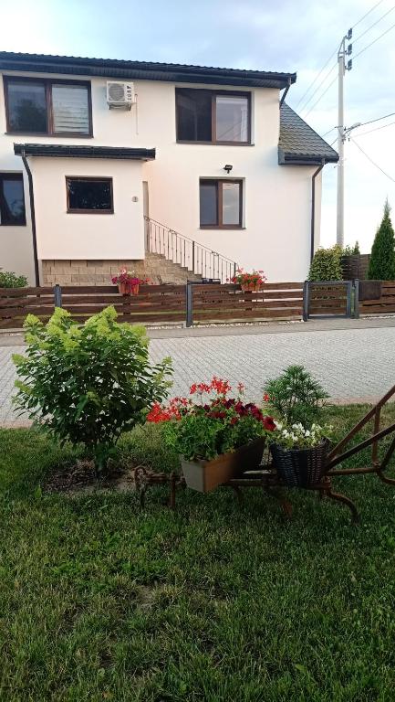 Ostoja Czersk Zamek Góra Kalwaria - Bed and Breakfast Czersk