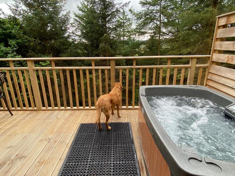 Holly Berry Lodge with Hot Tub - B&B Cupar